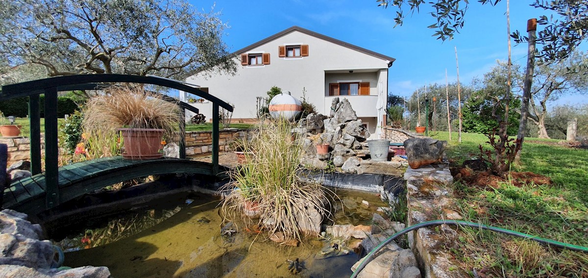 Čepljani, Umag, 258m2