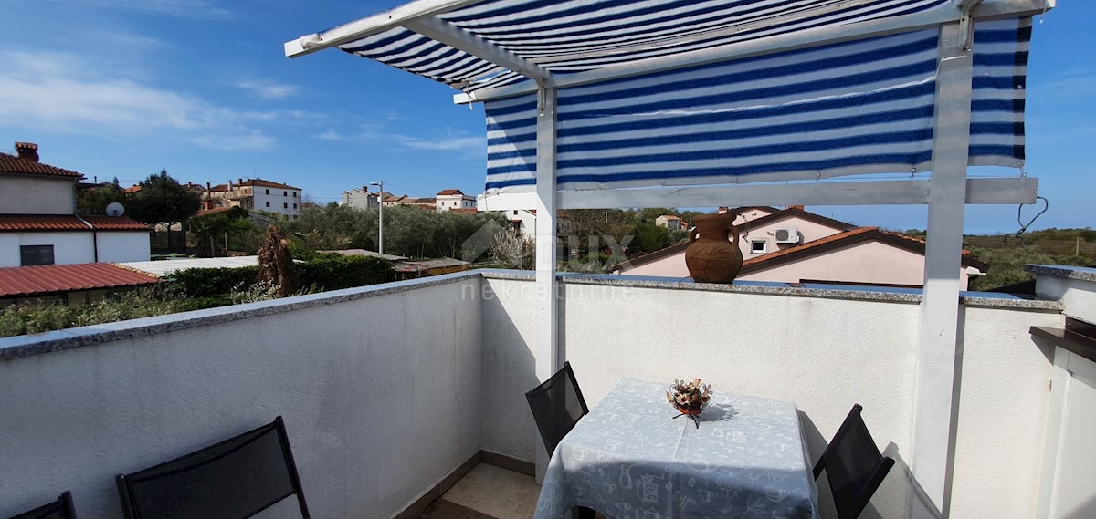 Čepljani, Umag, 258m2