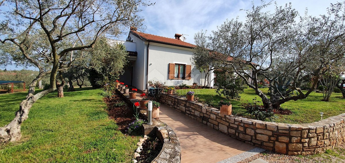 Čepljani, Umag, 258m2