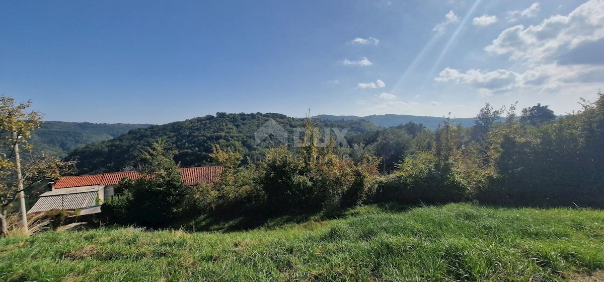 Motovun, 415m2