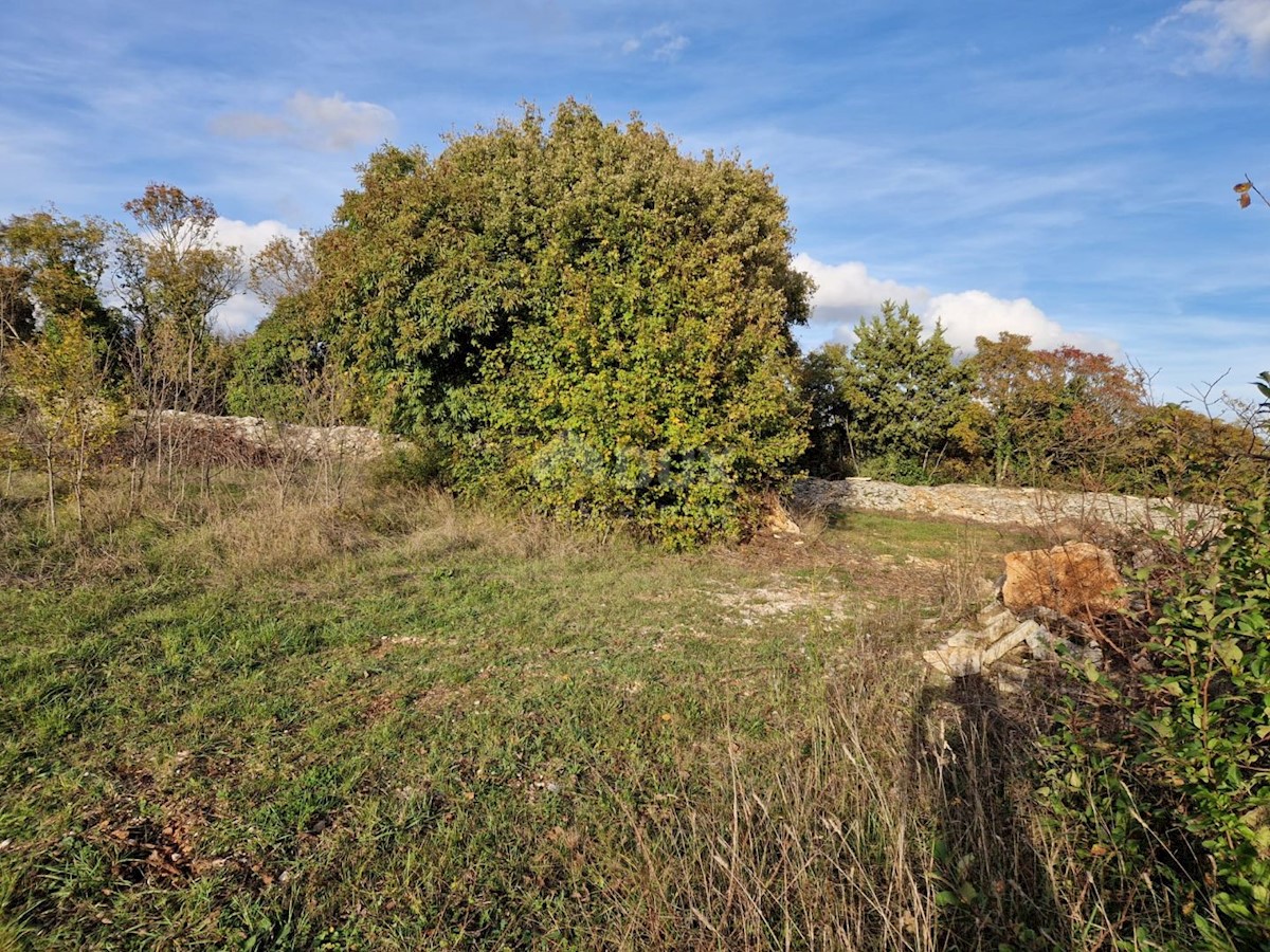 ISTRA, SVETVINČENAT - Zazidljivo zemljišče na ugodni lokaciji