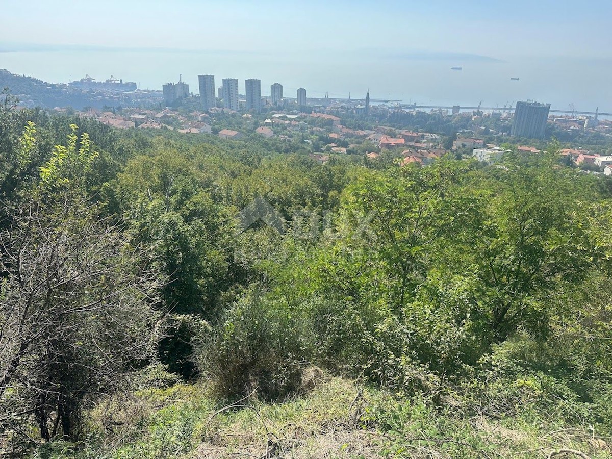 RIJEKA, KOZALA - gradbeno zemljišče 4000m2 s panoramskim pogledom na morje