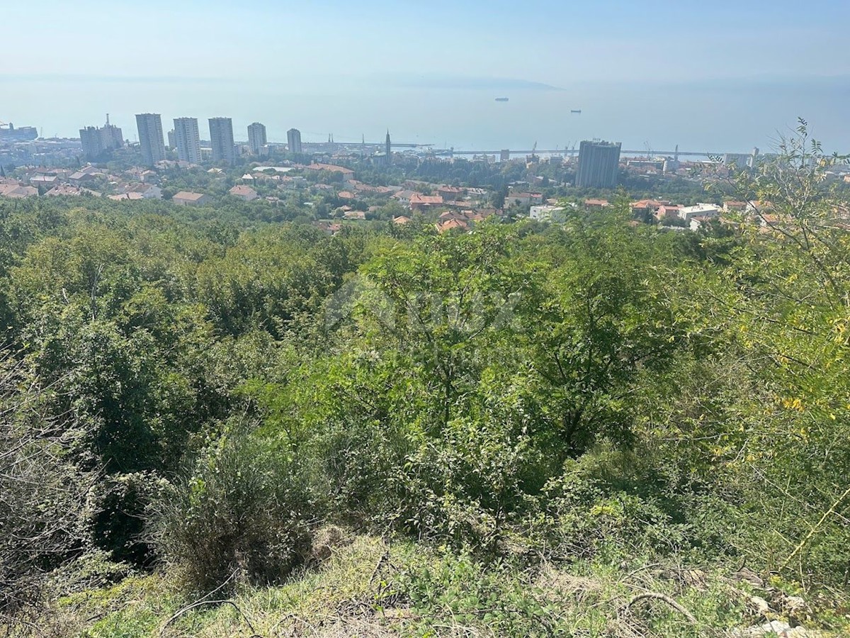 RIJEKA, KOZALA - gradbeno zemljišče 4000m2 s panoramskim pogledom na morje