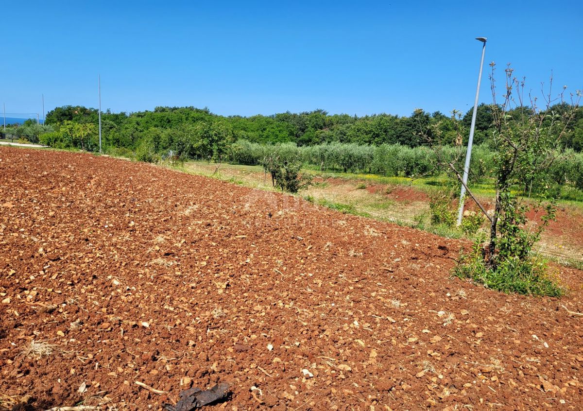 ISTRA, NOVIGRAD - Zazidljivo in kmetijsko zemljišče