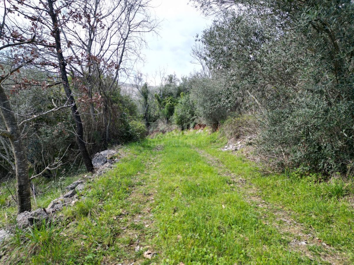 Raša, 1.150m2