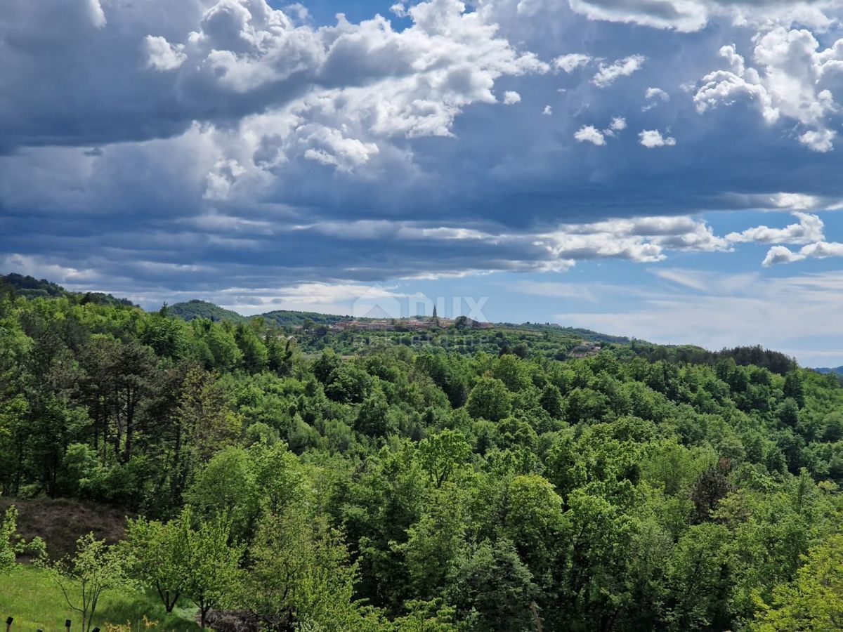 ISTRA, CEROVLJE - Impresivno gradbeno zemljišče z oljkami