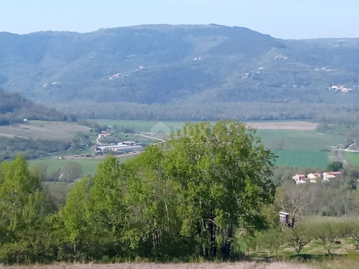 ISTRA, MOTOVUN, OKOLICA - Kompleks gradbenih in kmetijskih zemljišč na samoti s pogledom na Motovun