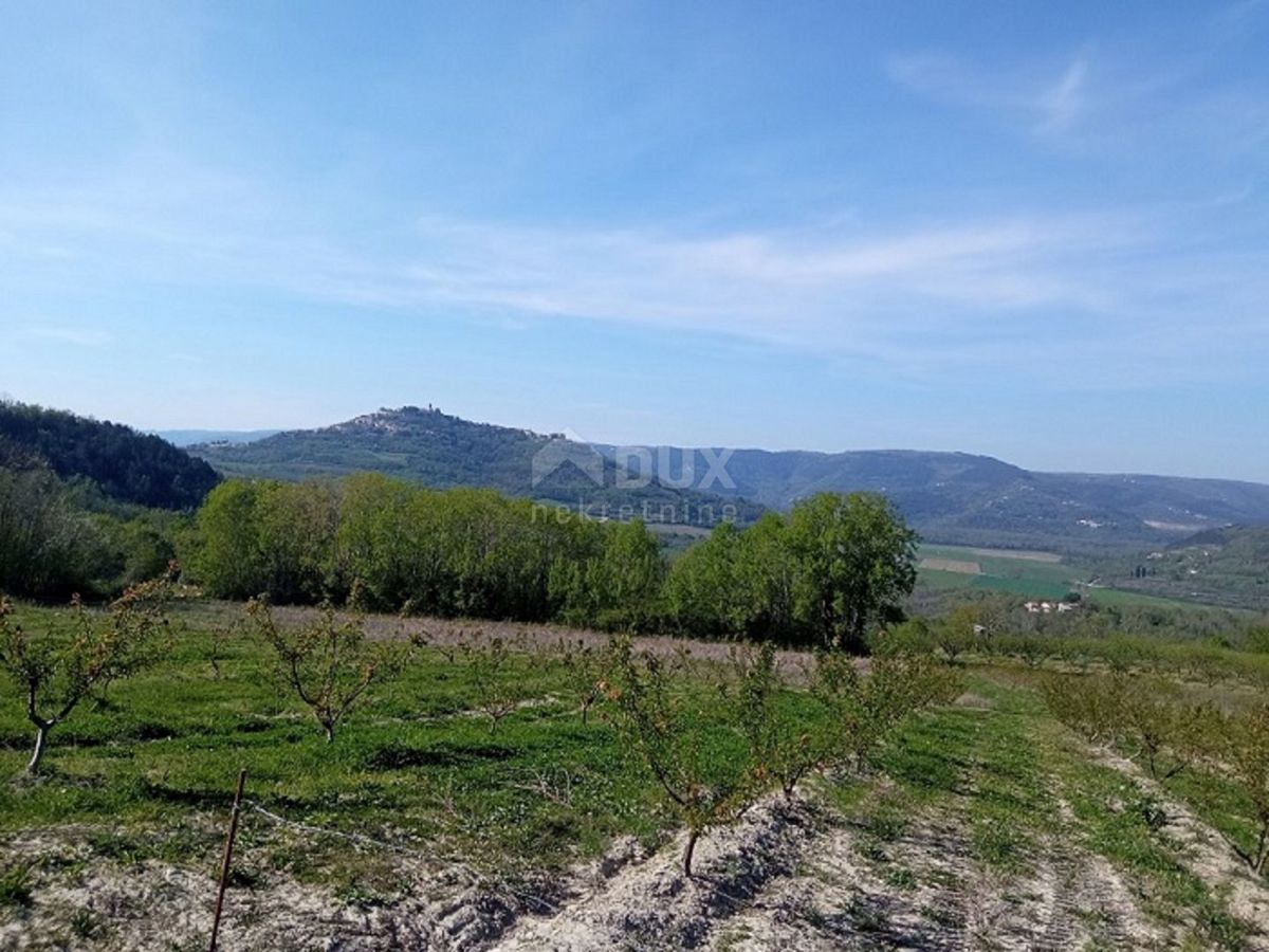 ISTRA, MOTOVUN, OKOLICA - Kompleks gradbenih in kmetijskih zemljišč na samoti s pogledom na Motovun