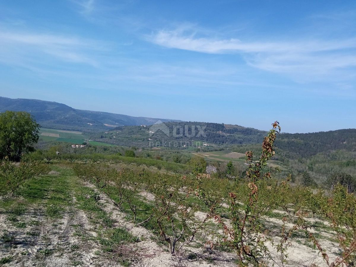 ISTRA, MOTOVUN, OKOLICA - Kompleks gradbenih in kmetijskih zemljišč na samoti s pogledom na Motovun