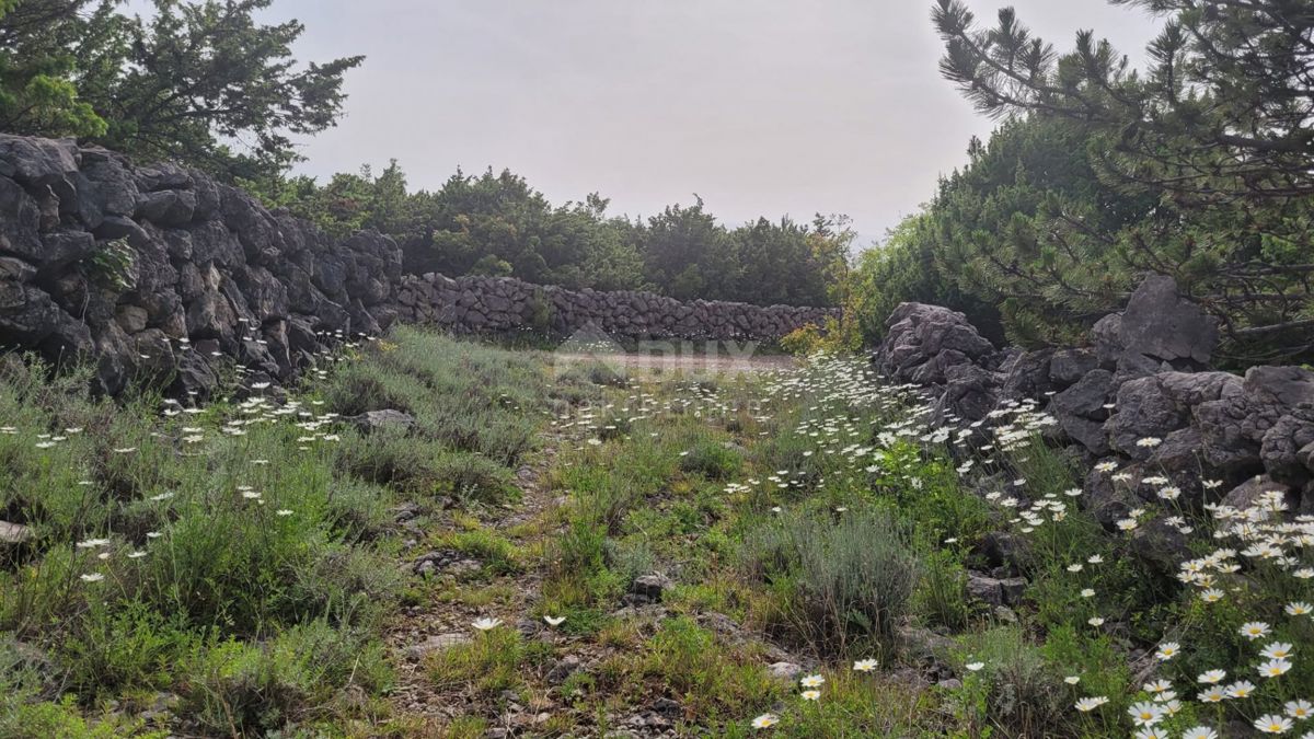Punat, 4.139m2