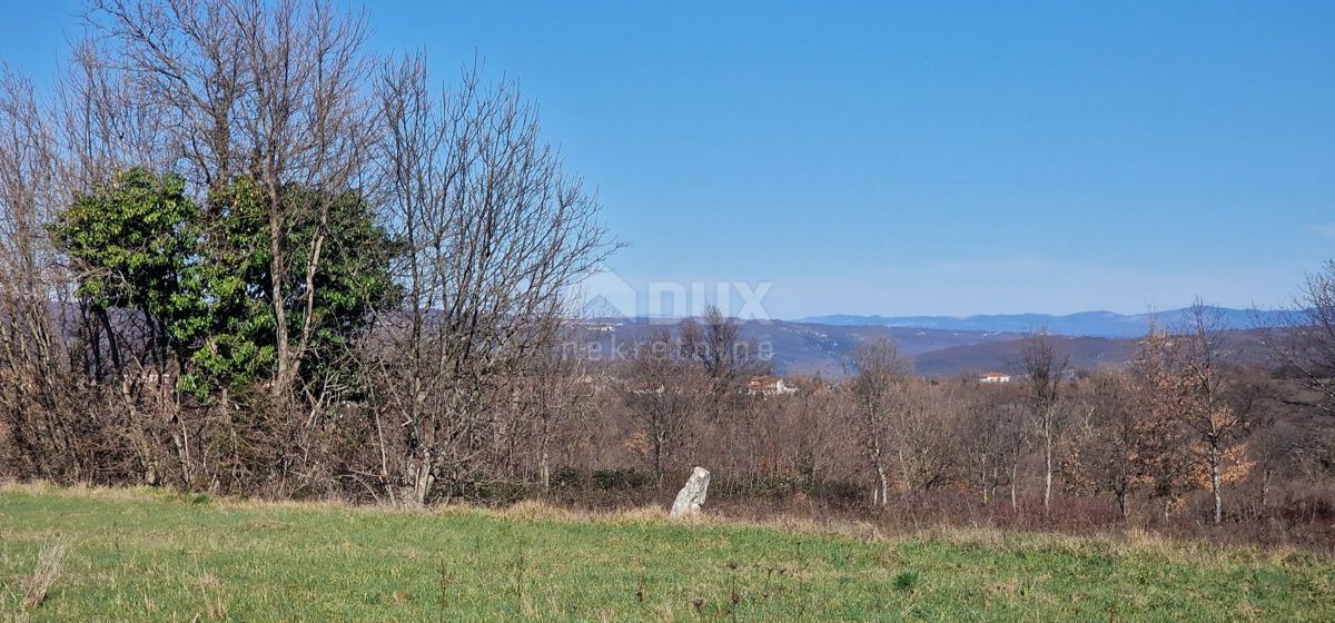 ISTRA, BARBAN - Gradbeno zemljišče za investicijo, odprt razgled