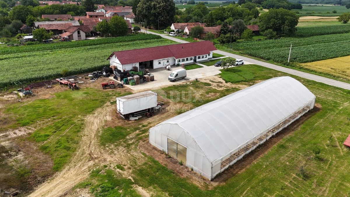 VIROVITICA, PITOMAČA - Prostorno posestvo za pridelavo zelenjave, s hišo in dodatnimi parcelami za gradnjo