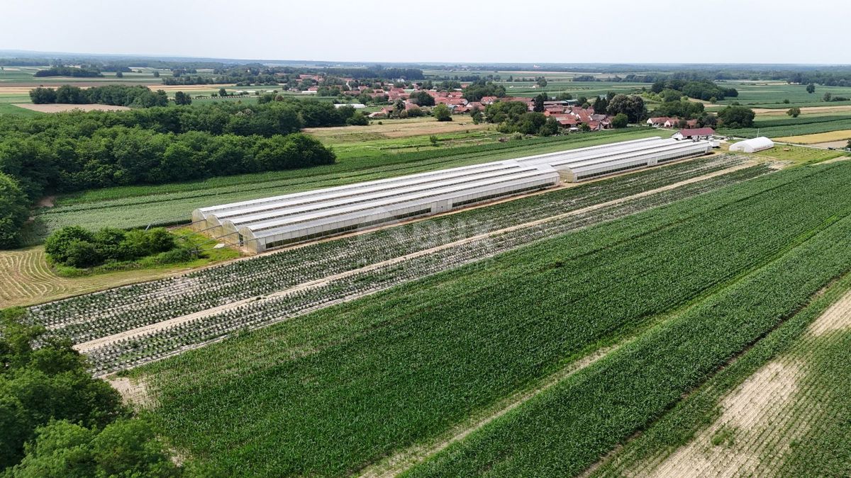 VIROVITICA, PITOMAČA - Prostorno posestvo za pridelavo zelenjave, s hišo in dodatnimi parcelami za gradnjo