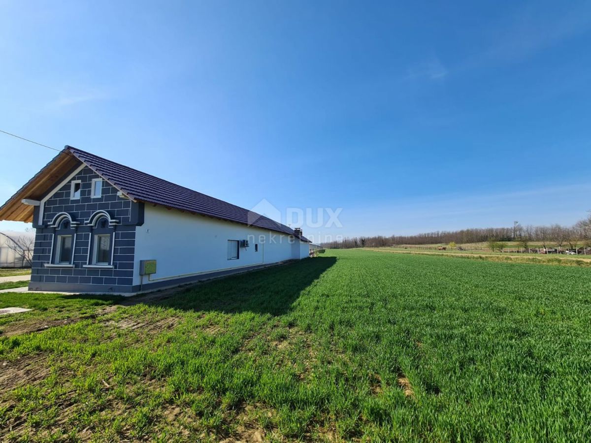 VIROVITICA, PITOMAČA - Prostorno posestvo za pridelavo zelenjave, s hišo in dodatnimi parcelami za gradnjo