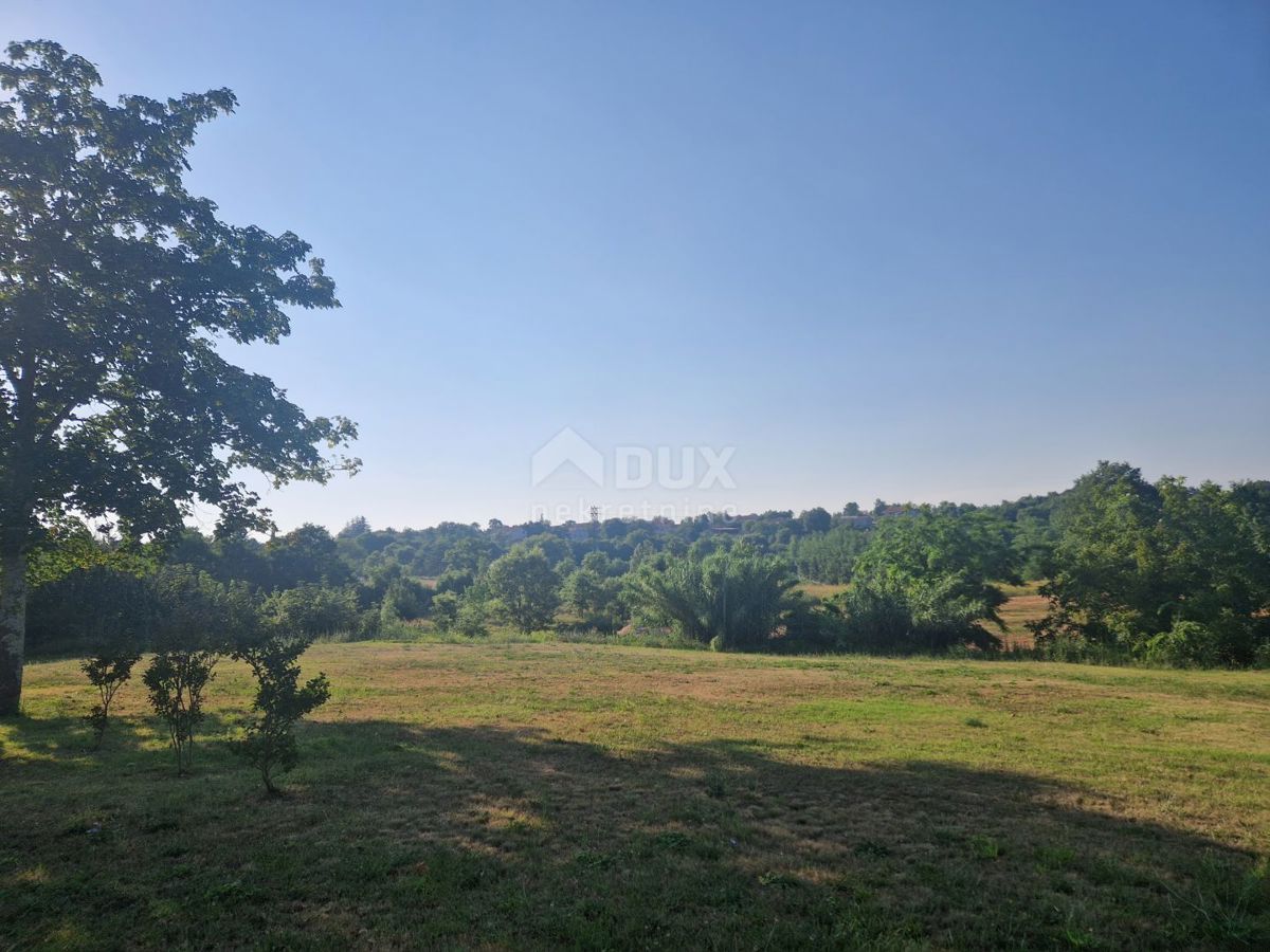 ISTRA, TINJAN - Zazidljivo zemljišče na odlični lokaciji