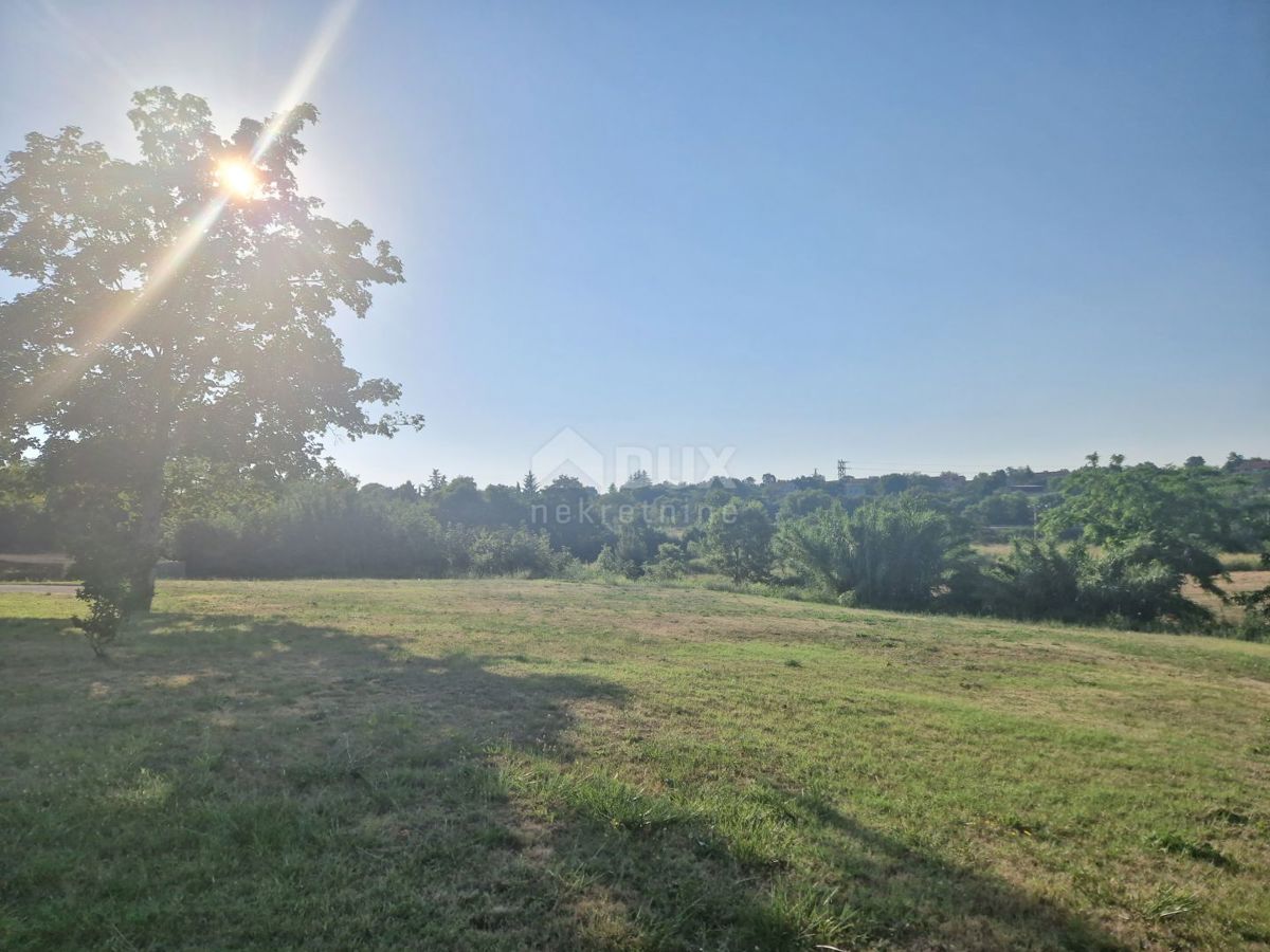 ISTRA, TINJAN - Zazidljivo zemljišče na odlični lokaciji