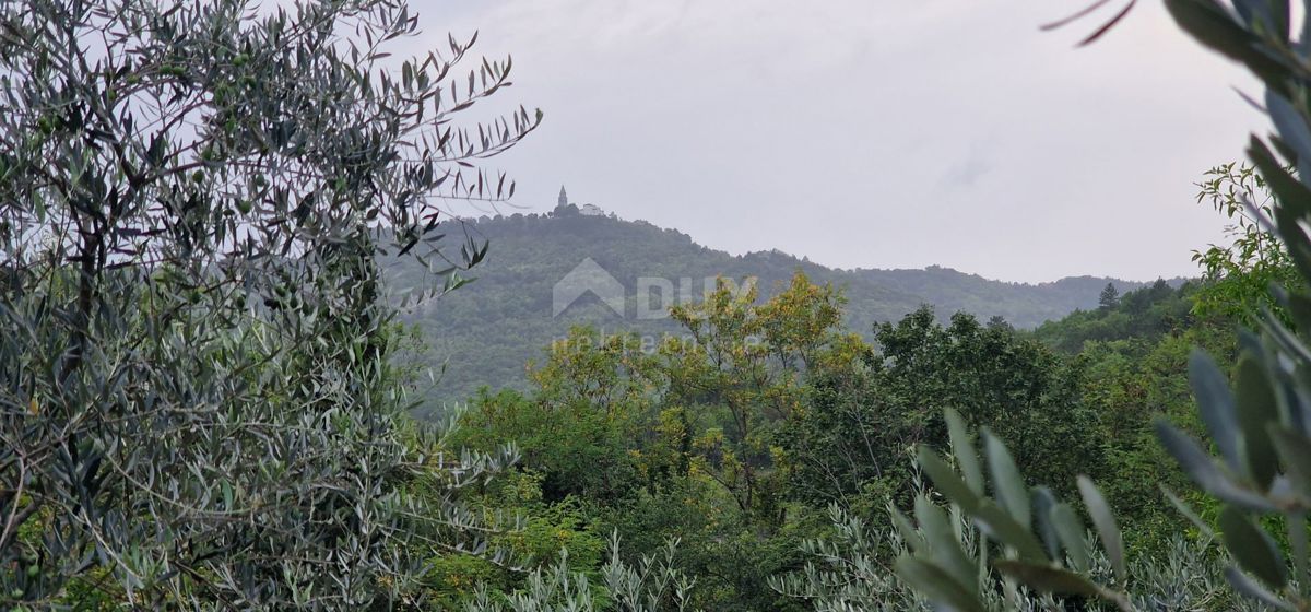 ISTRA, GRAČIŠĆE - Zemljišče z objekti in lepim razgledom