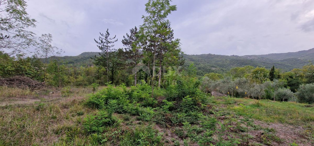 ISTRA, GRAČIŠĆE - Zemljišče z objekti in lepim razgledom