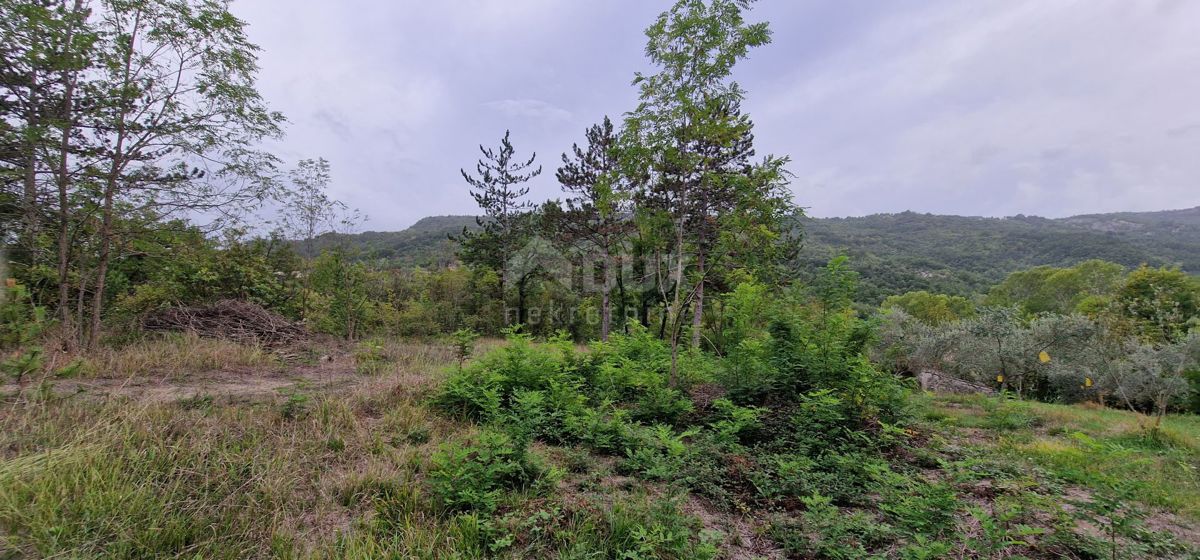 ISTRA, GRAČIŠĆE - Zemljišče z objekti in lepim razgledom