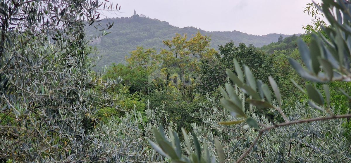 ISTRA, GRAČIŠĆE - Zemljišče z objekti in lepim razgledom