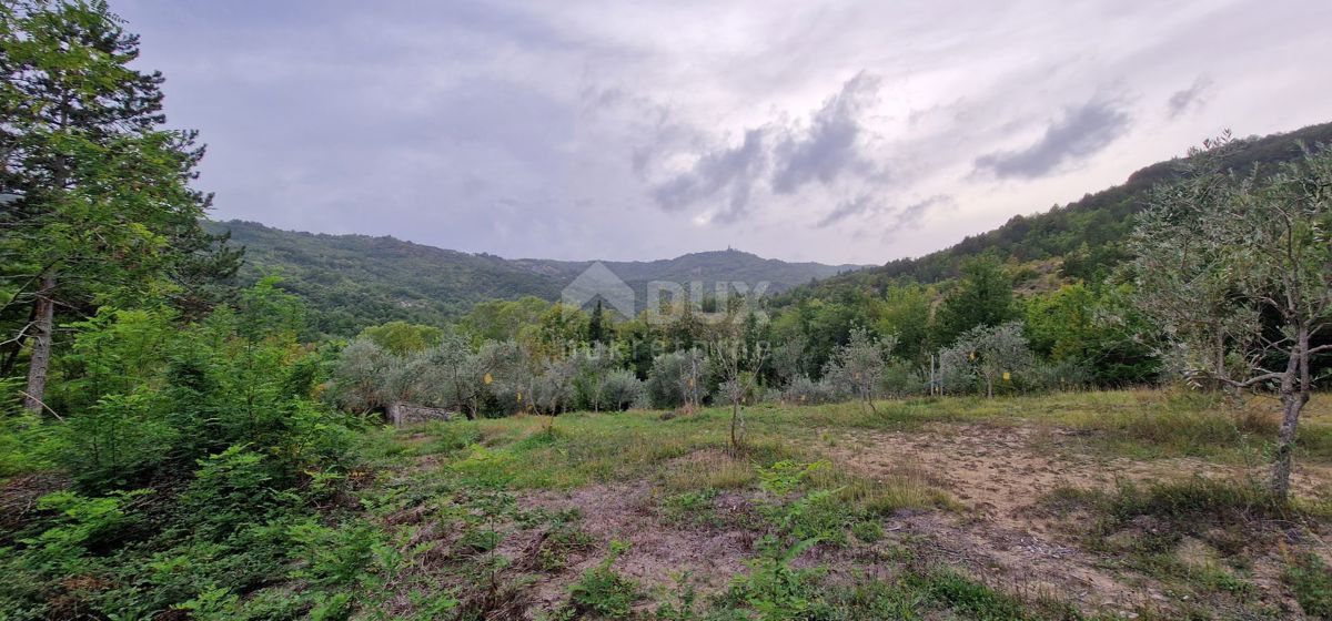 ISTRA, GRAČIŠĆE - Zemljišče z objekti in lepim razgledom