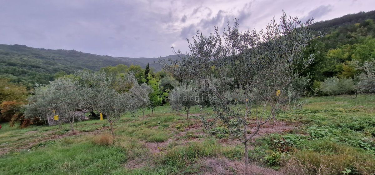 ISTRA, GRAČIŠĆE - Zemljišče z objekti in lepim razgledom