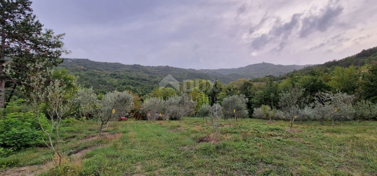 ISTRA, GRAČIŠĆE - Zemljišče z objekti in lepim razgledom