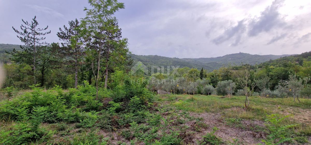 ISTRA, GRAČIŠĆE - Zemljišče z objekti in lepim razgledom