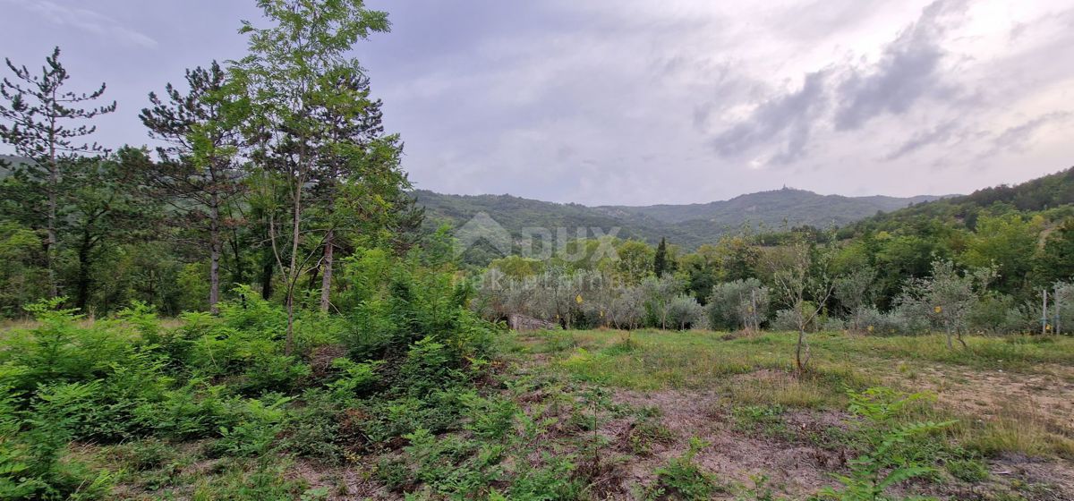 ISTRA, GRAČIŠĆE - Zemljišče z objekti in lepim razgledom