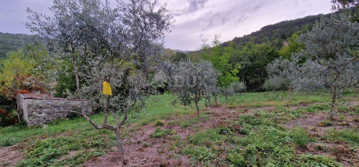 ISTRA, GRAČIŠĆE - Zemljišče z objekti in lepim razgledom