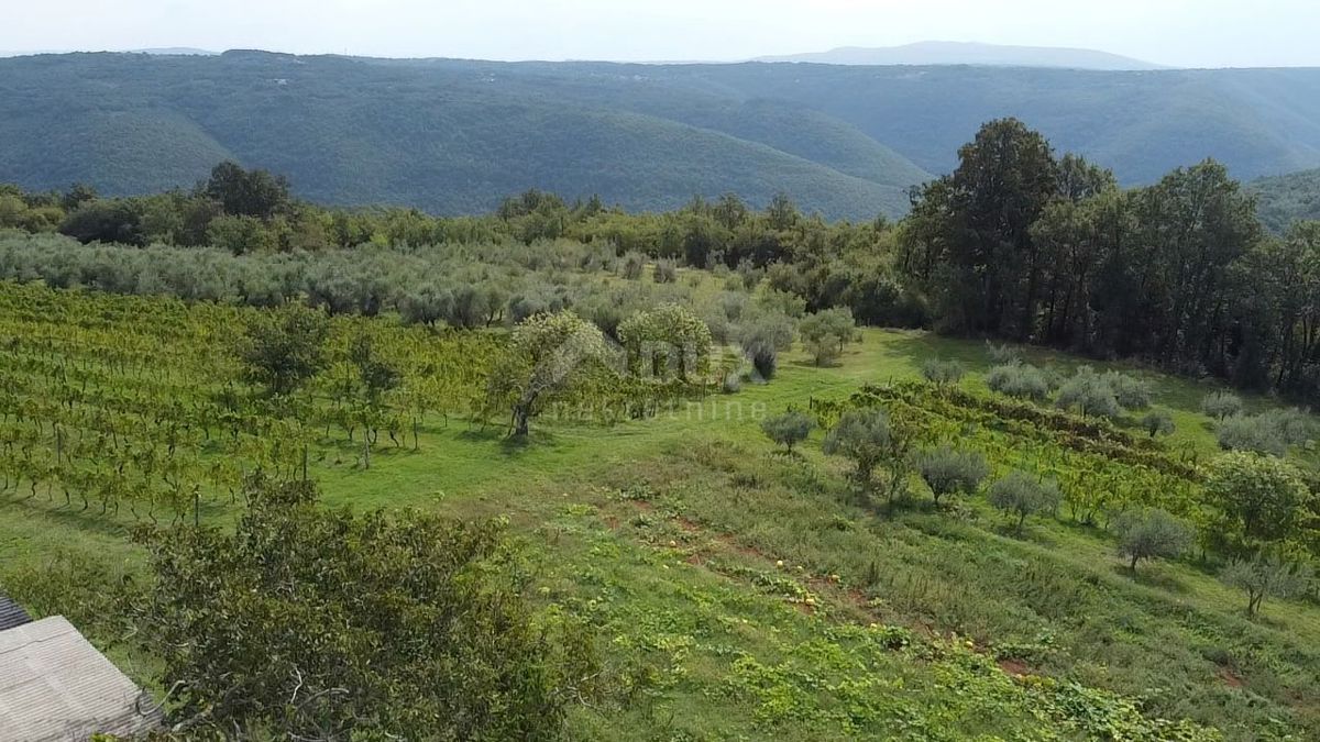 ISTRA, BARBAN - Prostorno gradbeno zemljišče z odprtim pogledom!