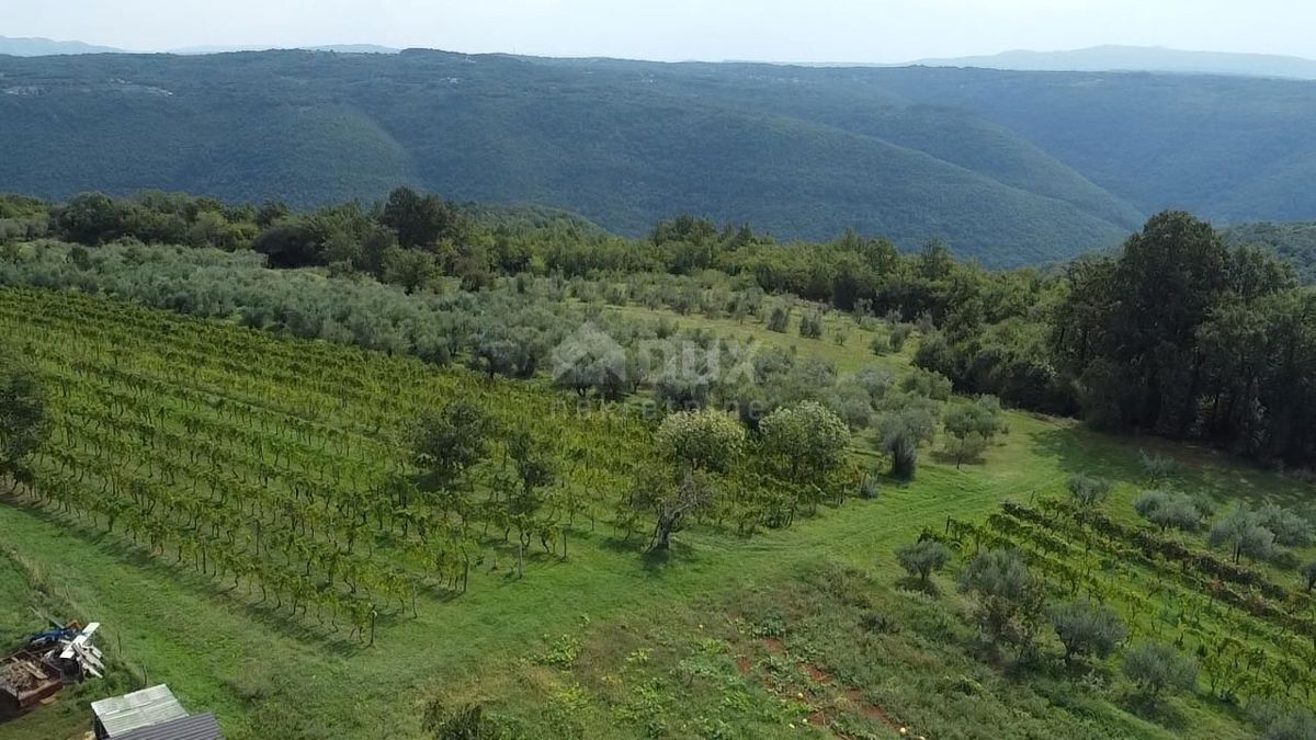 ISTRA, BARBAN - Prostorno gradbeno zemljišče z odprtim pogledom!