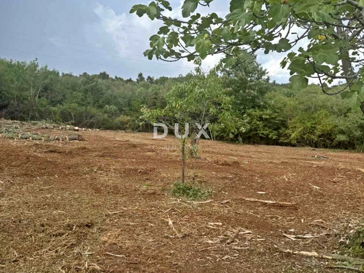 ISTRA, BARBAN - Udobno zazidljivo zemljišče v bližini centra vasi