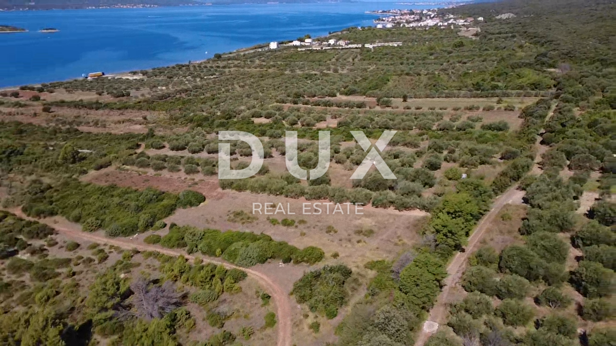 ZADAR, TURANJ - Oljčni nasad s 55 oljkami - 3143 m²