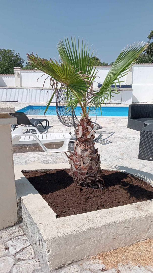 ISTRA, MARČANA - Prenovljena kamnita hiša z bazenom