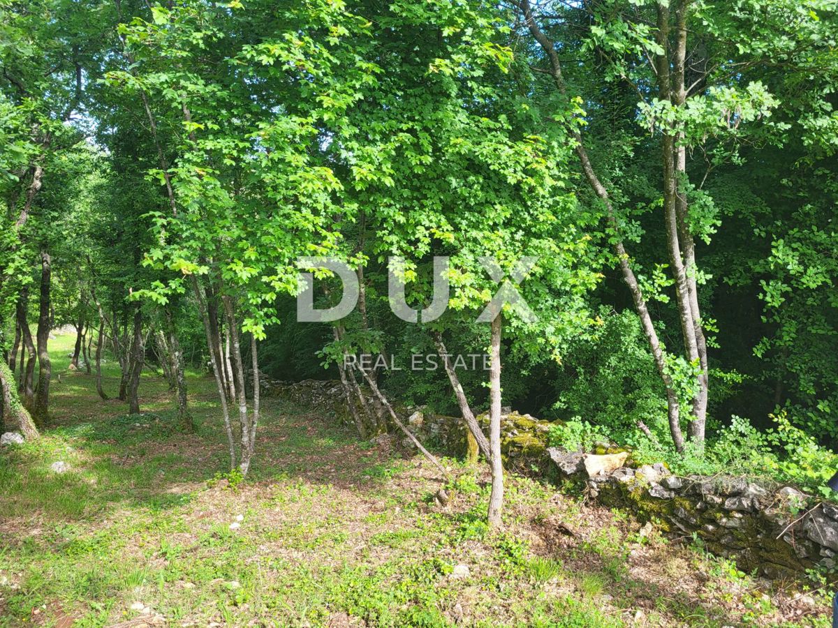 Zemljišče Barban, 3.445m2