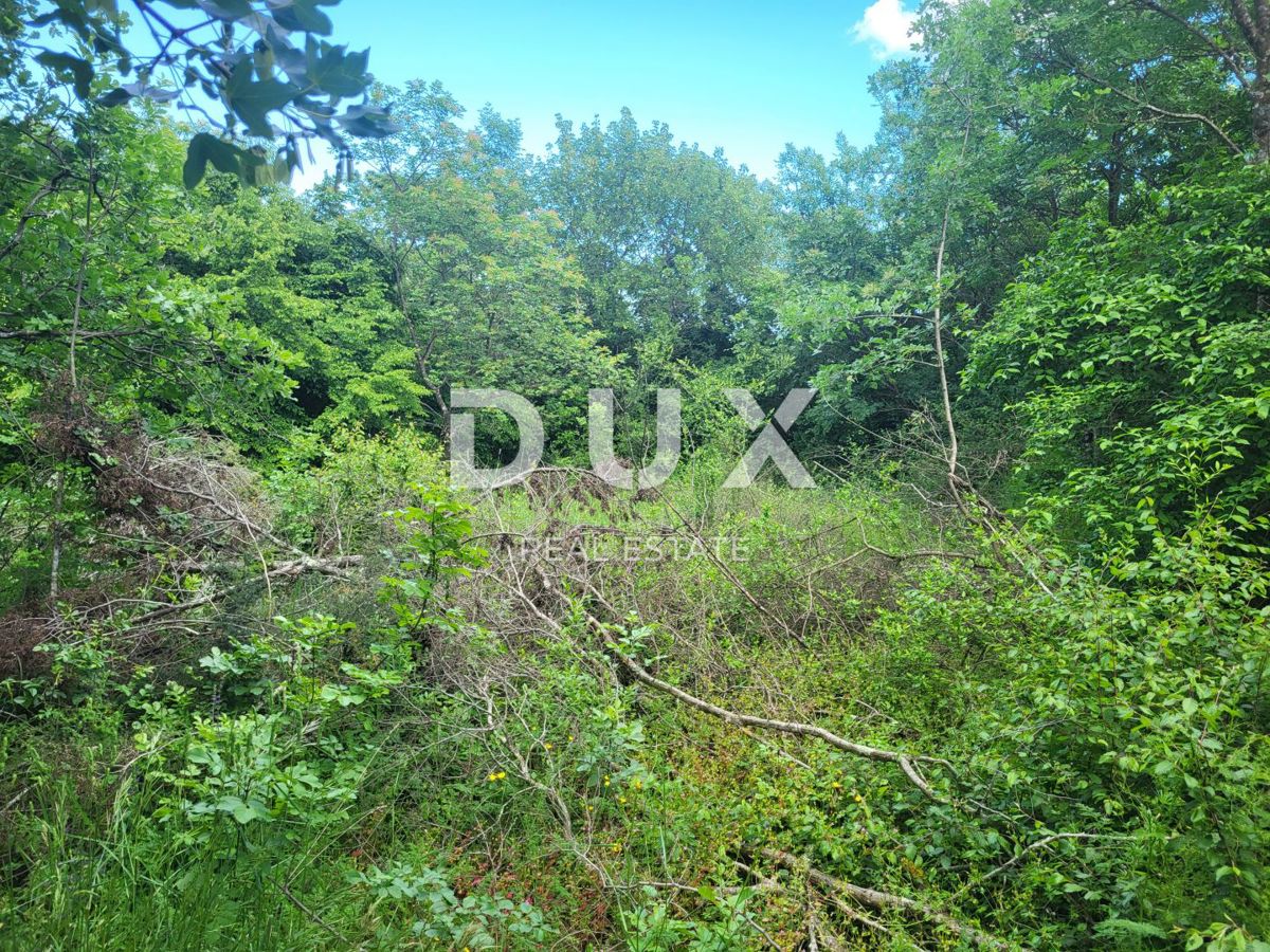 Zemljišče Barban, 3.445m2