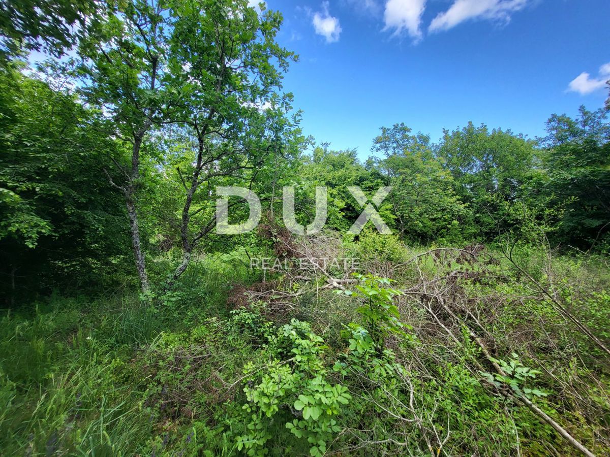 Zemljišče Barban, 3.445m2