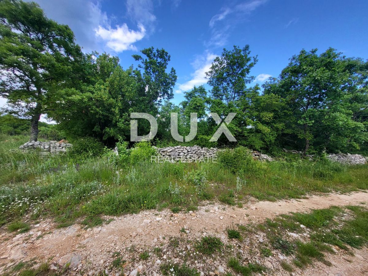 Zemljišče Barban, 3.445m2