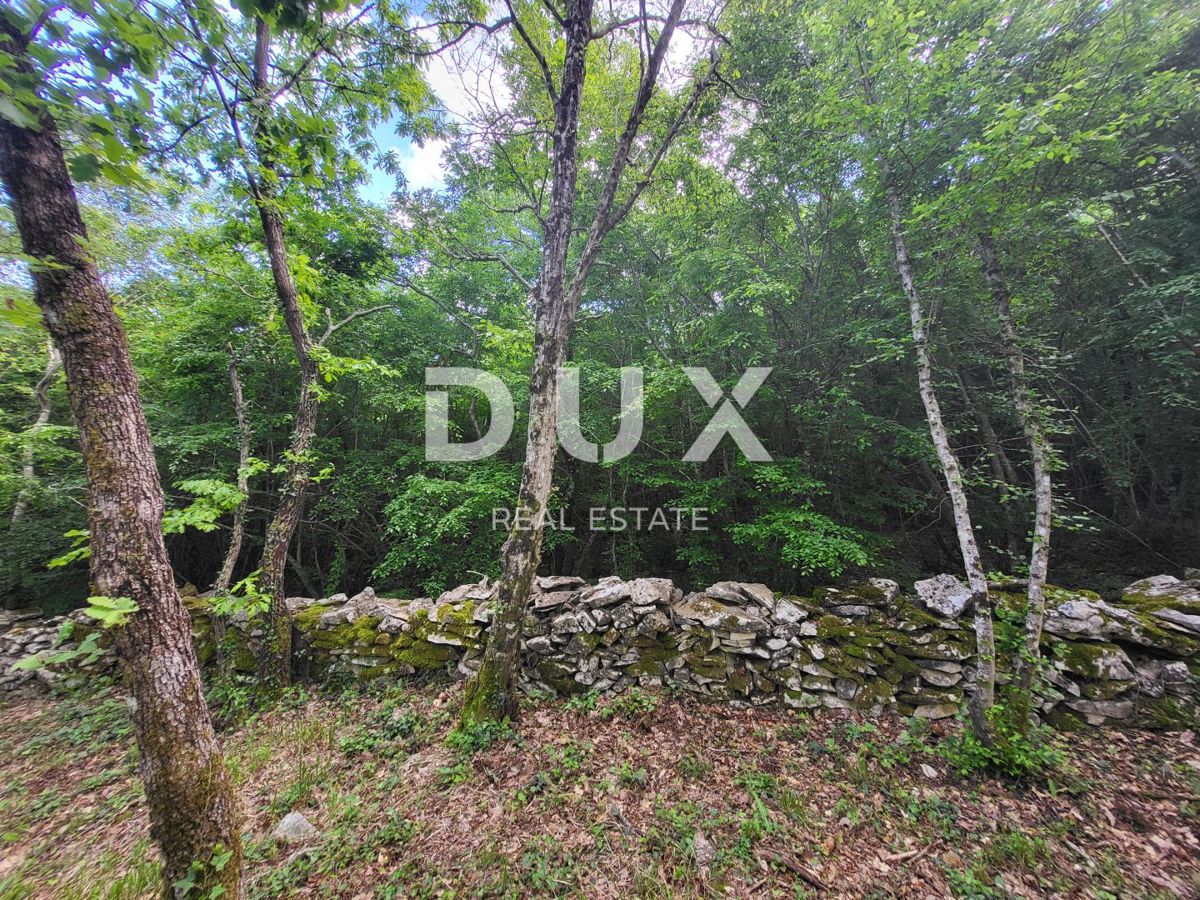 Zemljišče Barban, 3.445m2