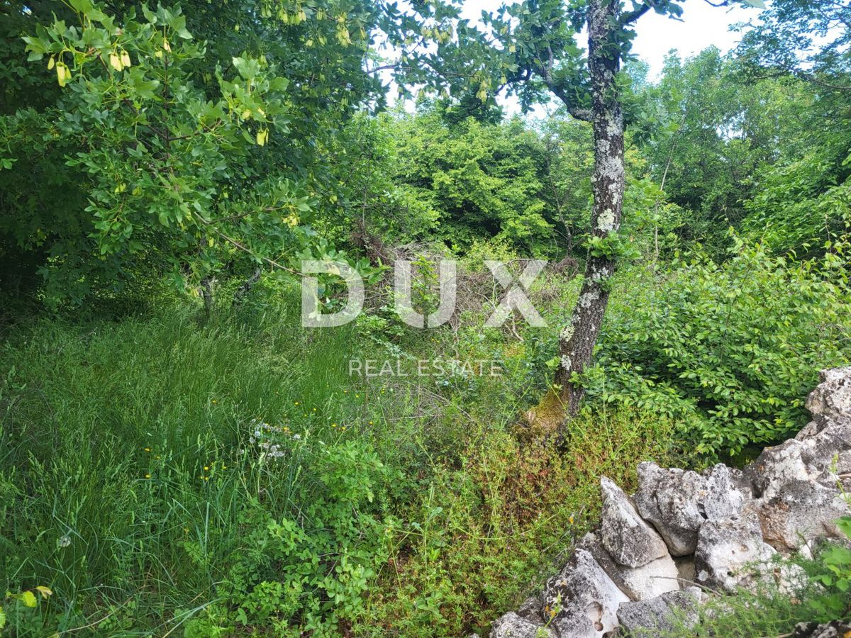 Zemljišče Barban, 3.445m2