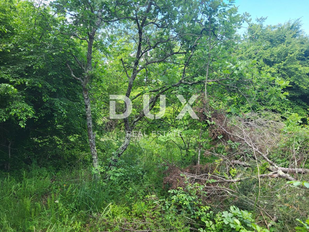 Zemljišče Barban, 3.445m2