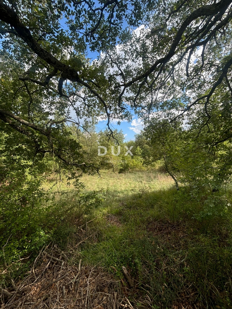 ISTRA, POREČ (BADERNA) - Zemljišče za vilo z veliko zasebnosti in zelenja! 800m2 zazidljivega zemljišča in 7034m2 kmetijskega zemljišča!