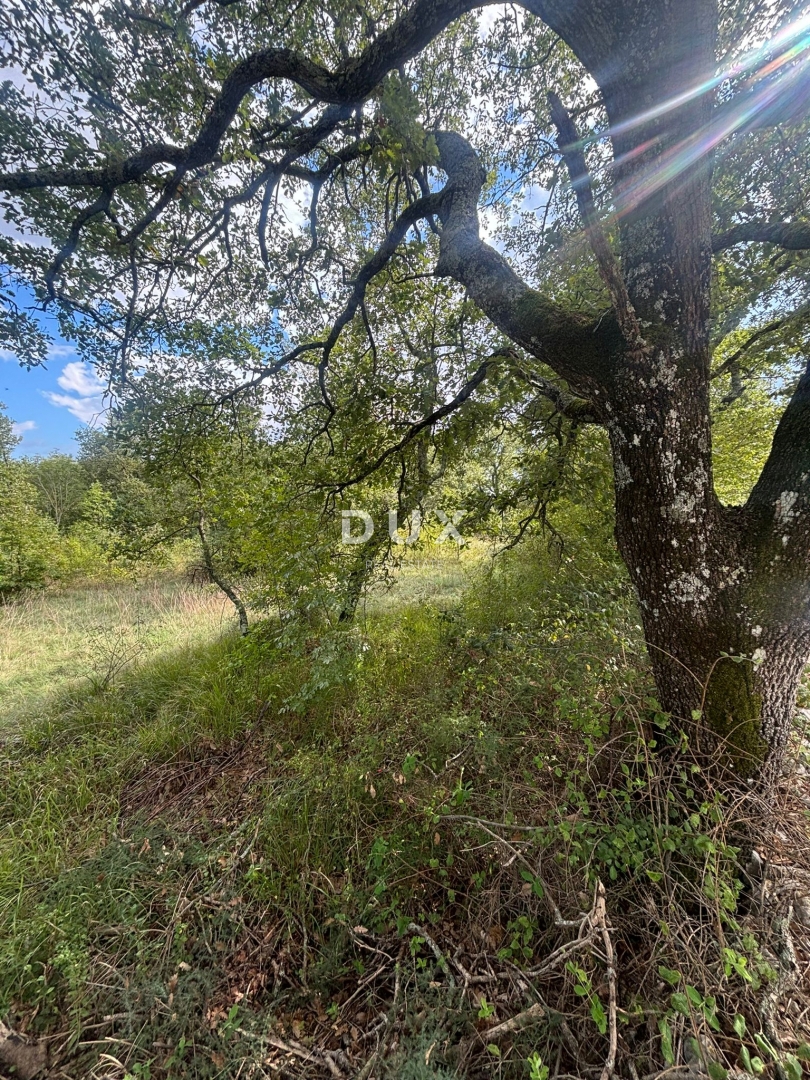 ISTRA, POREČ (BADERNA) - Zemljišče za vilo z veliko zasebnosti in zelenja! 800m2 zazidljivega zemljišča in 7034m2 kmetijskega zemljišča!