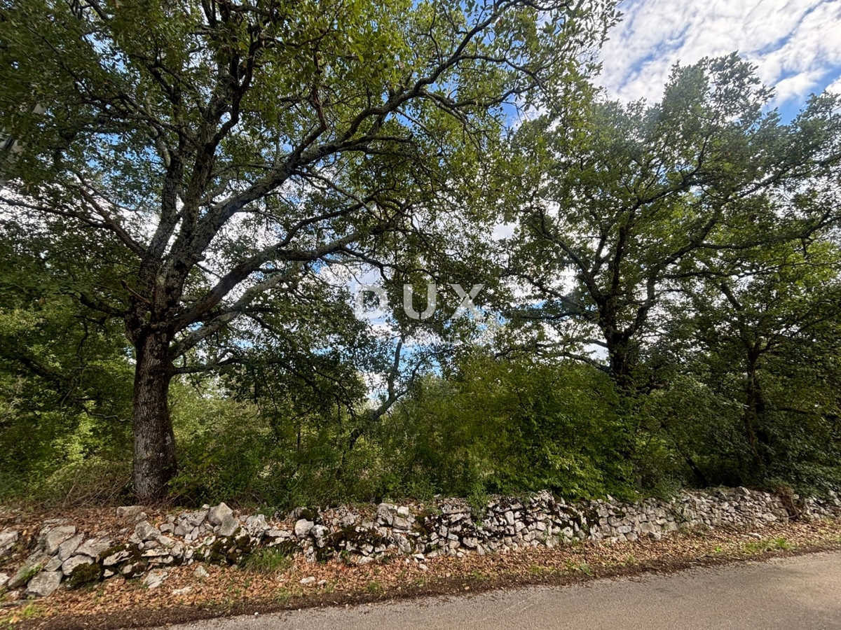 ISTRA, POREČ (BADERNA) - Zemljišče za vilo z veliko zasebnosti in zelenja! 800m2 zazidljivega zemljišča in 7034m2 kmetijskega zemljišča!