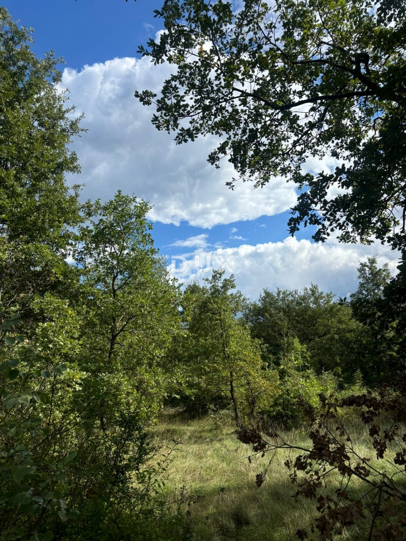 ISTRA, POREČ (BADERNA) - Zemljišče za vilo z veliko zasebnosti in zelenja! 800m2 zazidljivega zemljišča in 7034m2 kmetijskega zemljišča!