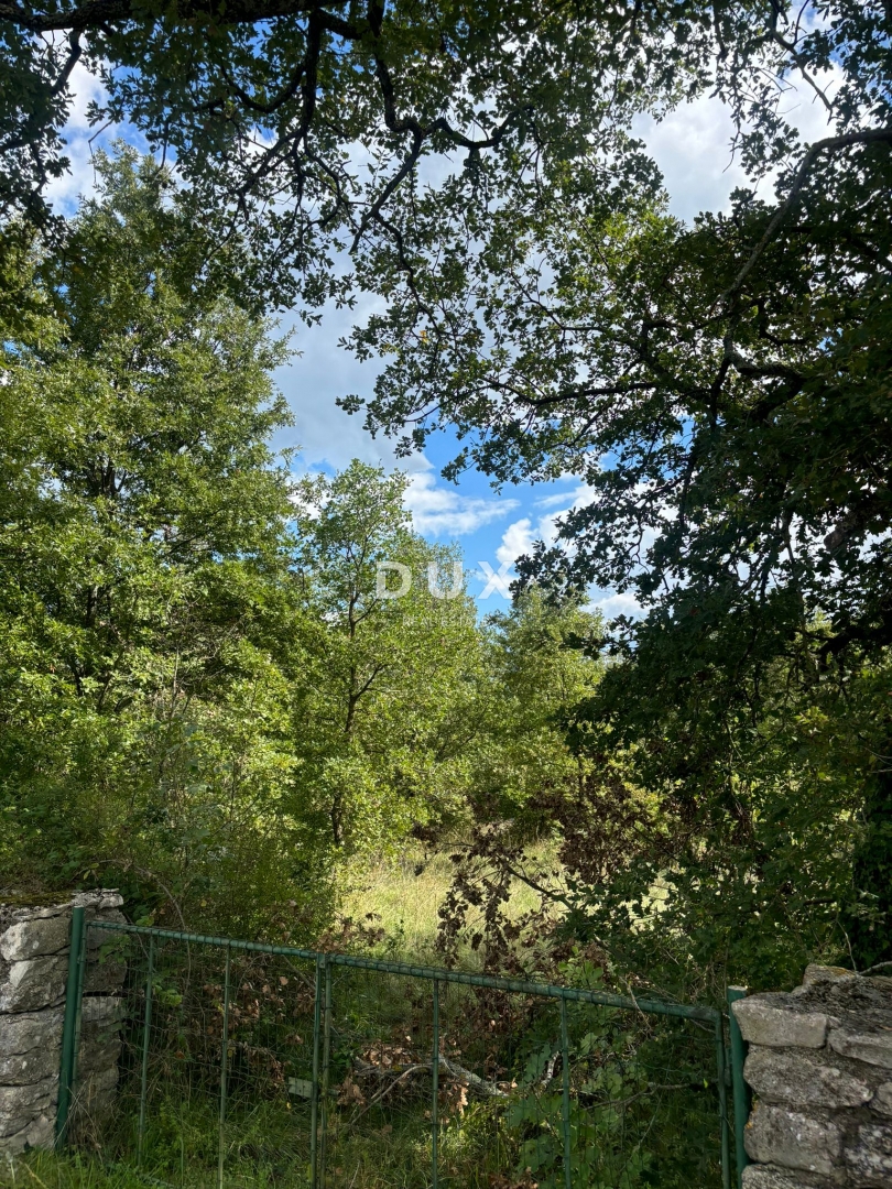 ISTRA, POREČ (BADERNA) - Zemljišče za vilo z veliko zasebnosti in zelenja! 800m2 zazidljivega zemljišča in 7034m2 kmetijskega zemljišča!