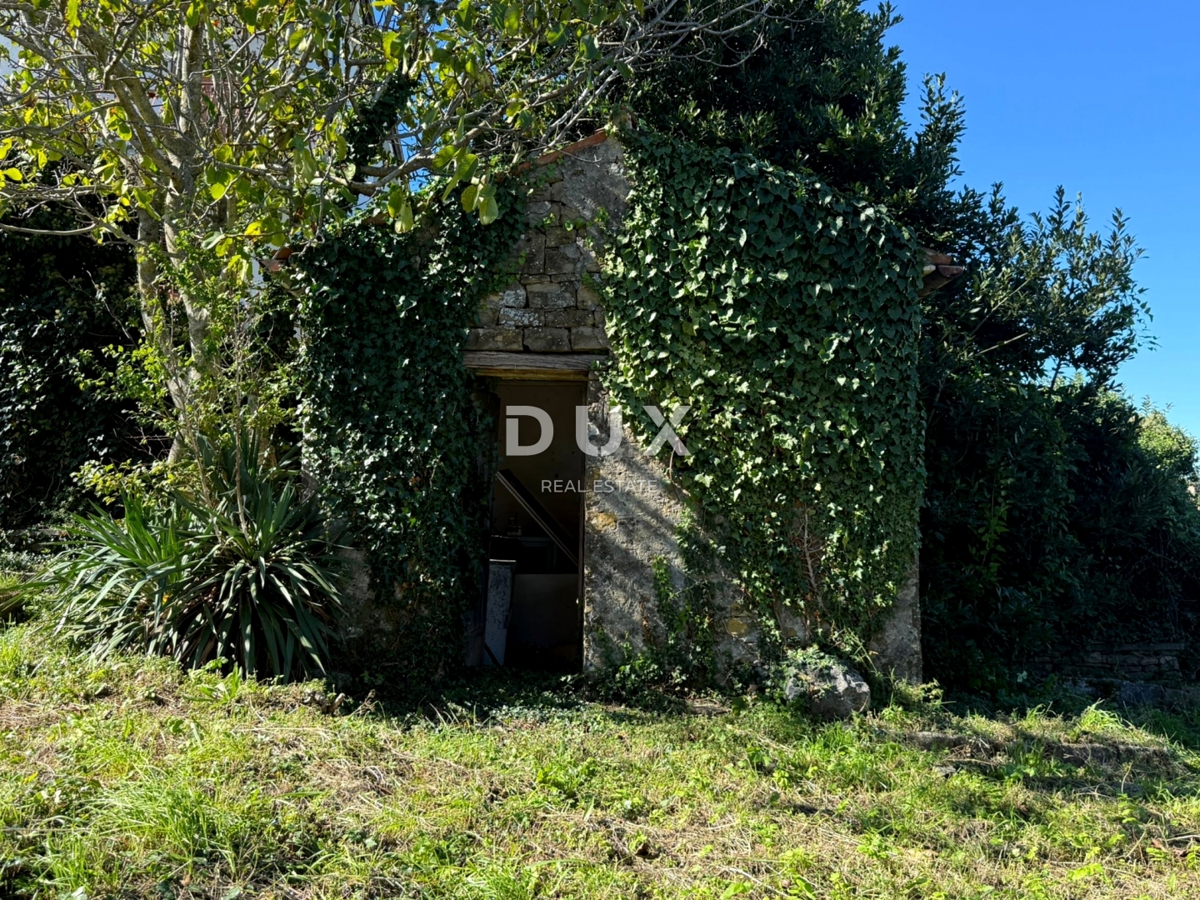 ISTRA, BUJE - Samostojna hiša za prenovo