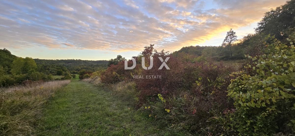 ISTRA, GRAČIŠĆE – Kmetijsko zemljišče ob makadamski cesti v bližini glavne ceste