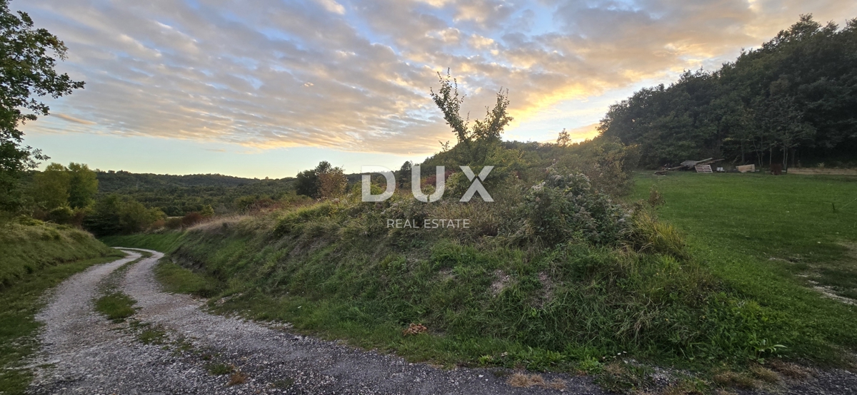 ISTRA, GRAČIŠĆE – Kmetijsko zemljišče ob makadamski cesti v bližini glavne ceste